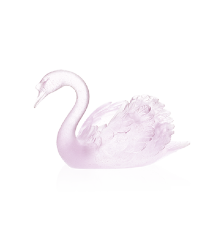 Pale pink swan