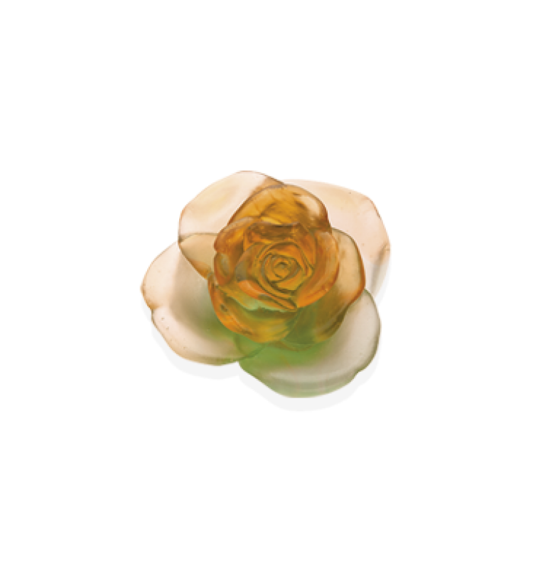 Green and orange decorative flower Rose Passion