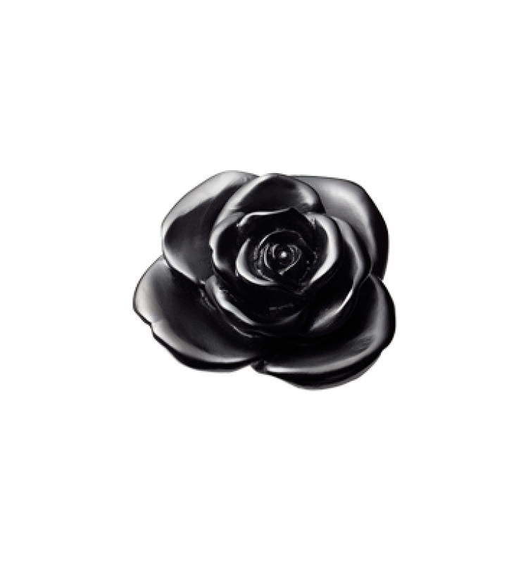 Black decorative flower Rose Passion