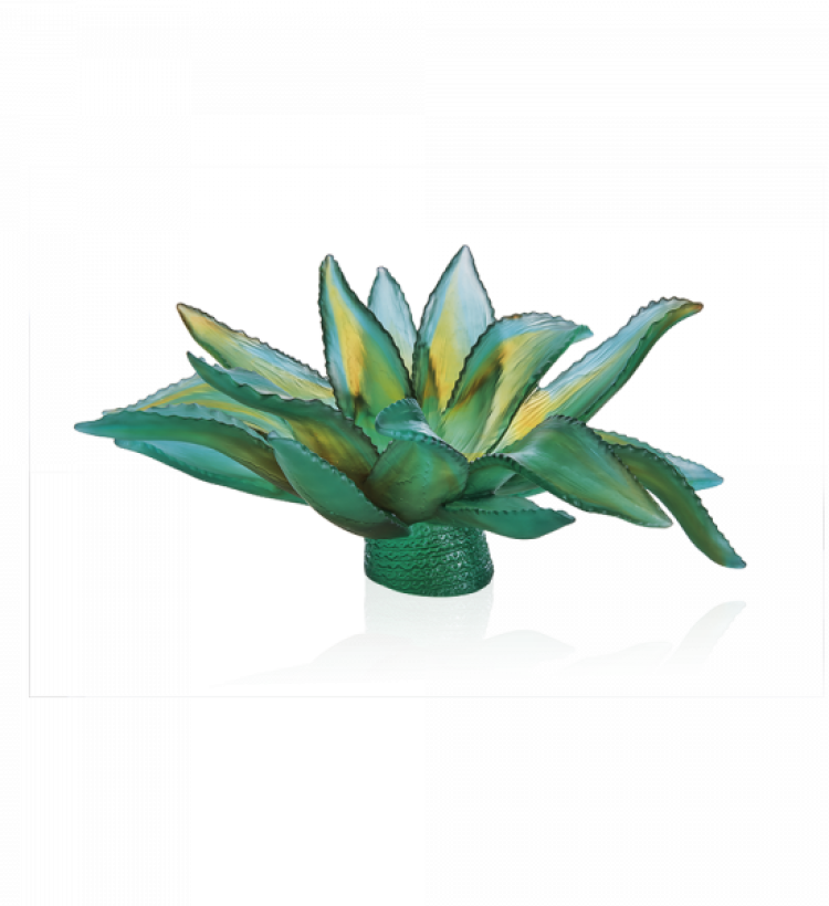 Green Agave Centerpiece Jardin De Cactus by Emilio Robba 375ex