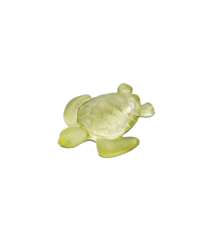 Lemon Mini-Turtle