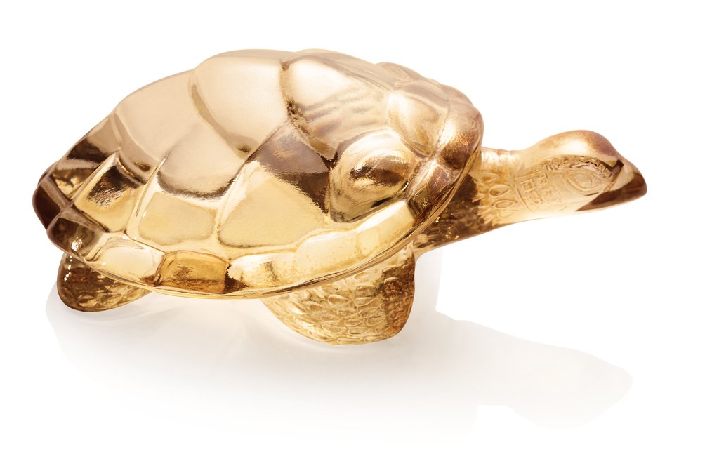 CAROLINE TURTLE GOLD LUSTER