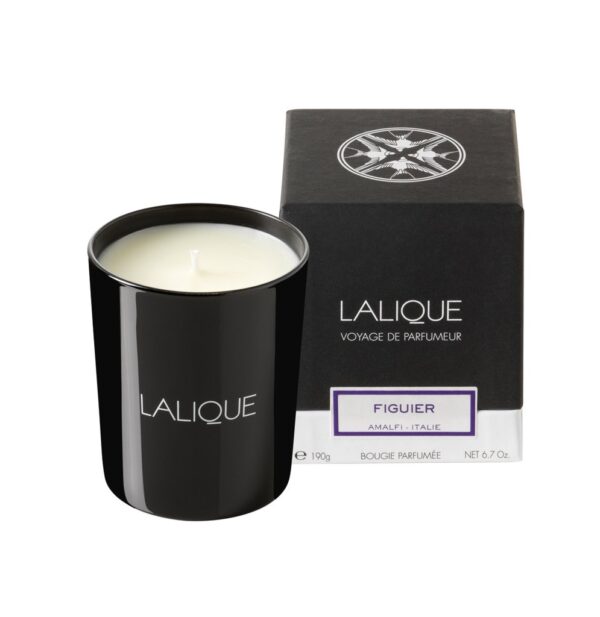 CANDLE 190G FIGUIER AMALFI