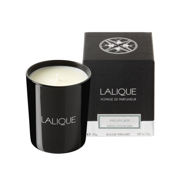 CANDLE 190G POPLAR ASPEN
