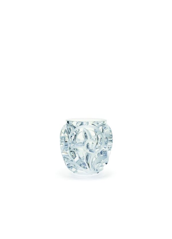 TOURBILLONS VASE SS CLEAR SHINY