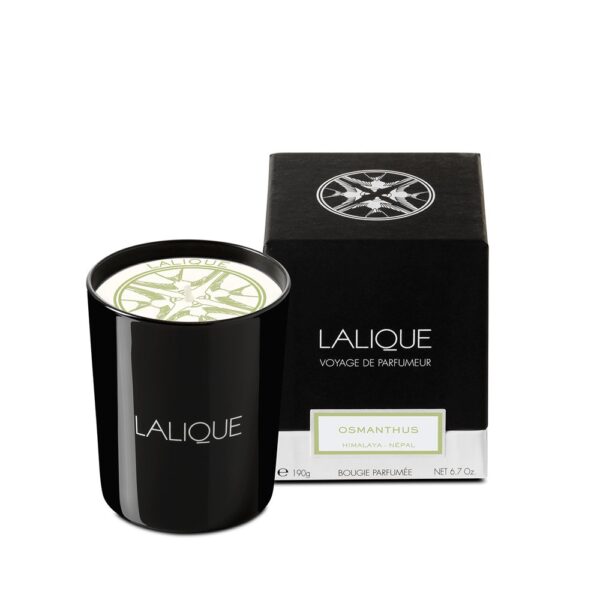 CANDLE 190G OSMANTHUS