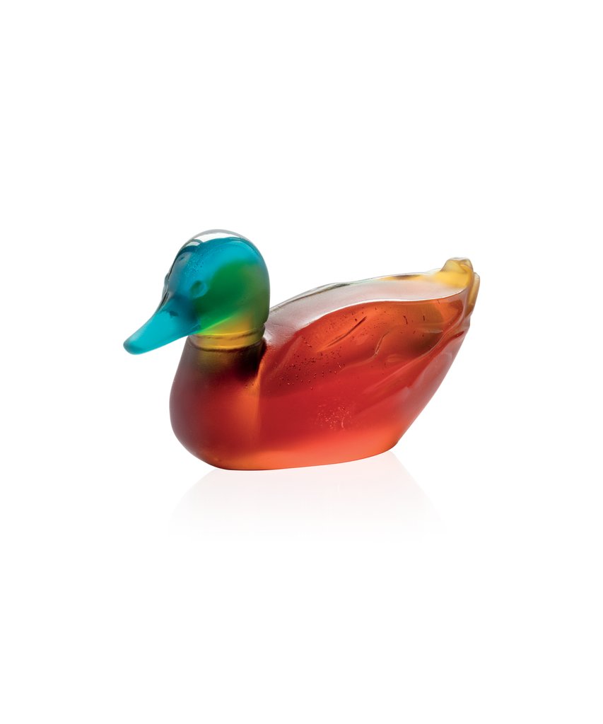 Mallard Duck