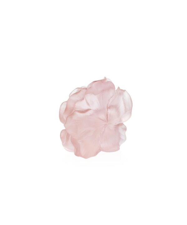 Daum decorative flower, a Camellia rose in crystal, capturing and refracting light spectacularly.