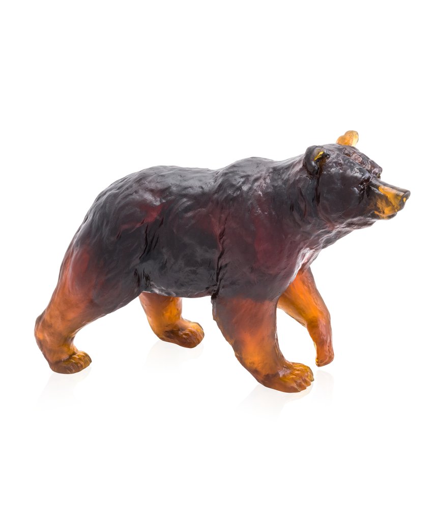 Brown Bear