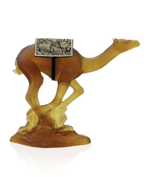 Racing Dromedary