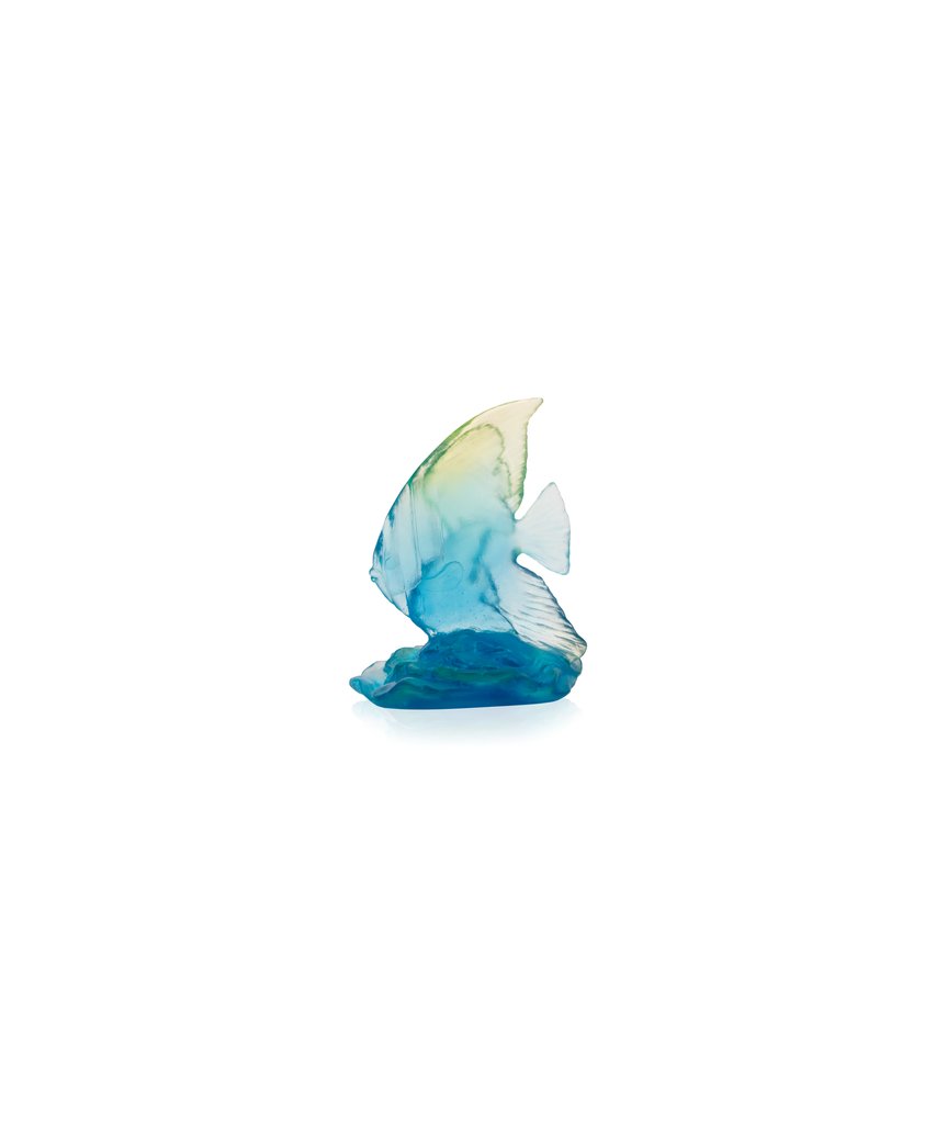 Small Platax Fish