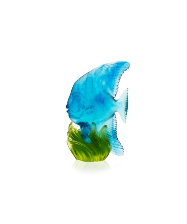 Medium Yellow & Blue Platax Fish