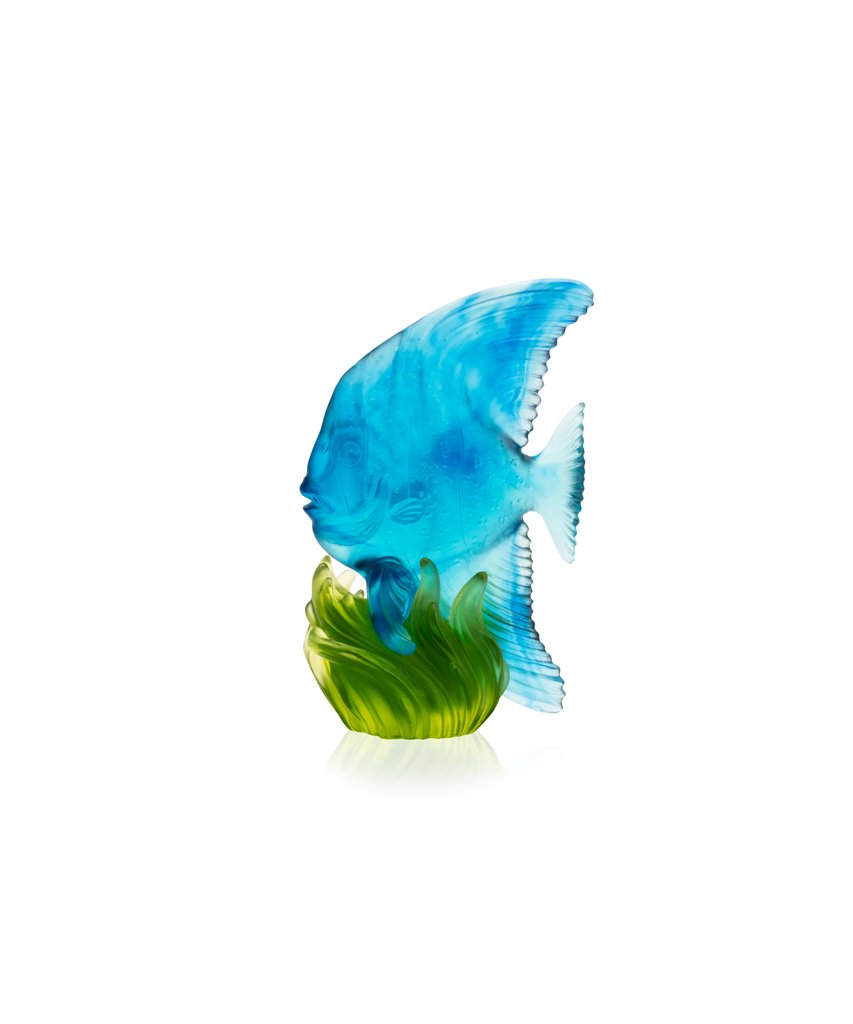 Medium Yellow & Blue Platax Fish