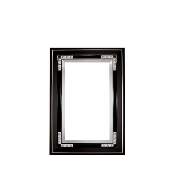 LQM MIRROR RAISINS BLACK