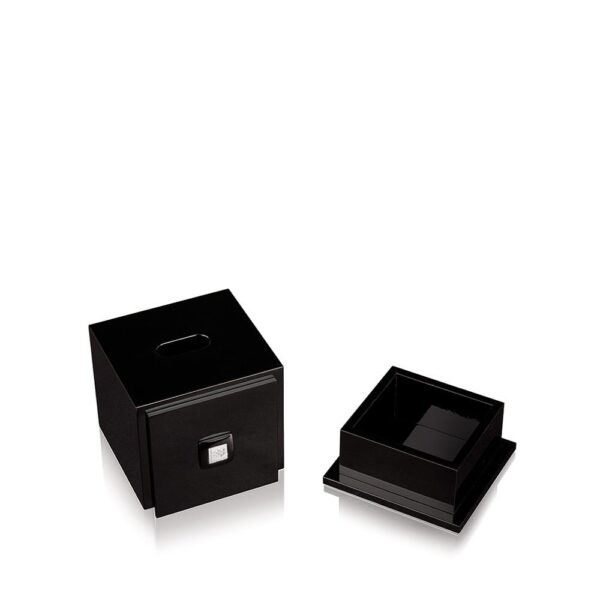 SQUARE TISSUE BOX BLACK RAISINS