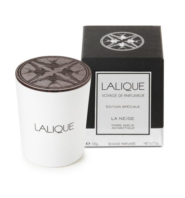 CAND.190G THE SNOW ADELIE LD
