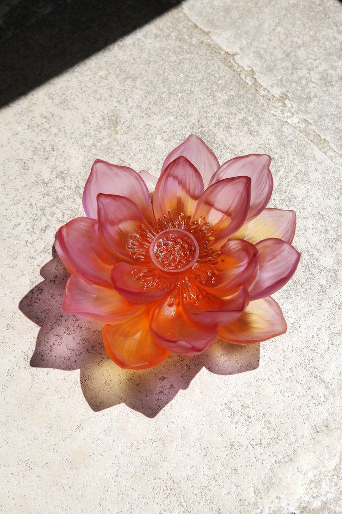 Decorative Flower amber pink Jardin de Lotus - Image 2