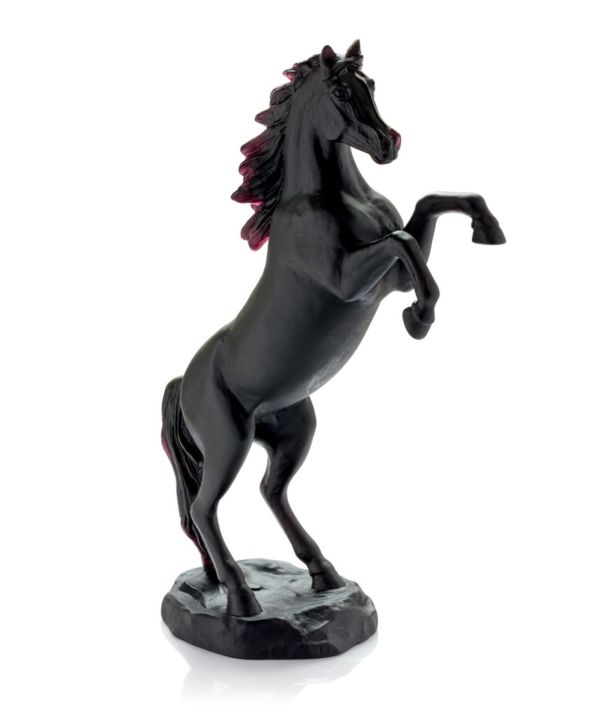 Black Spirited Horse
