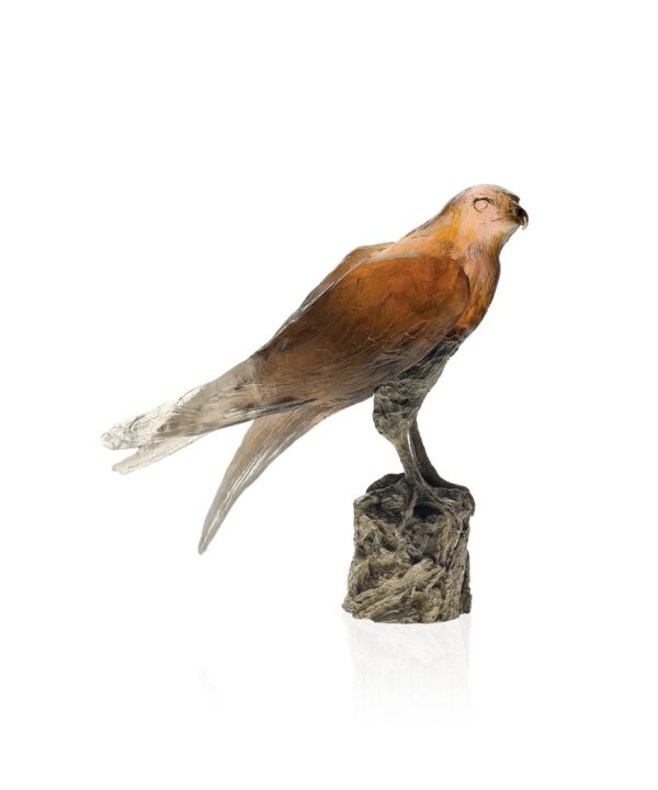 Saker Hawk - M. van der Knoop