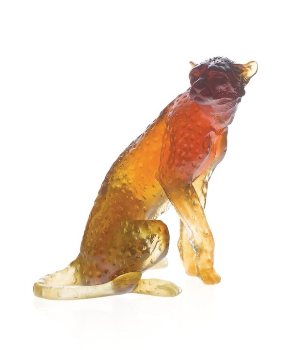 Amber Cheetah - J.F. Leroy