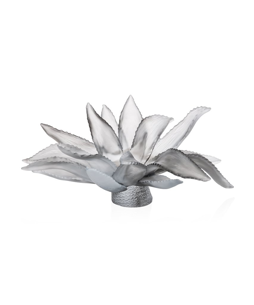 Grey Agave Centrepiece