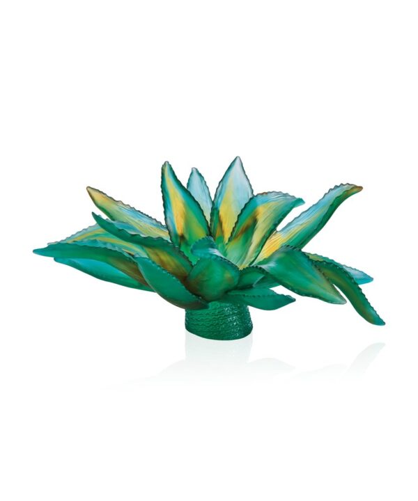 Green Agave Centrepiece