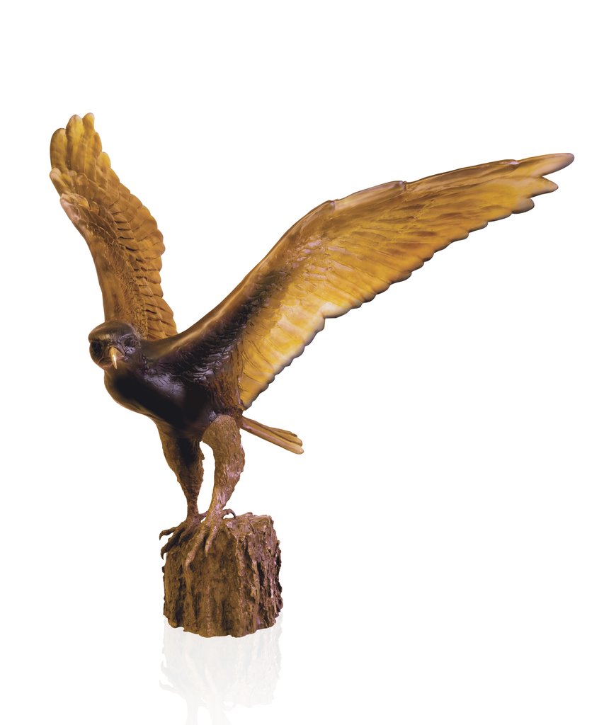 The Hawk Flight - M. van der Knoop