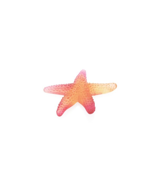 Amber Red Starfish