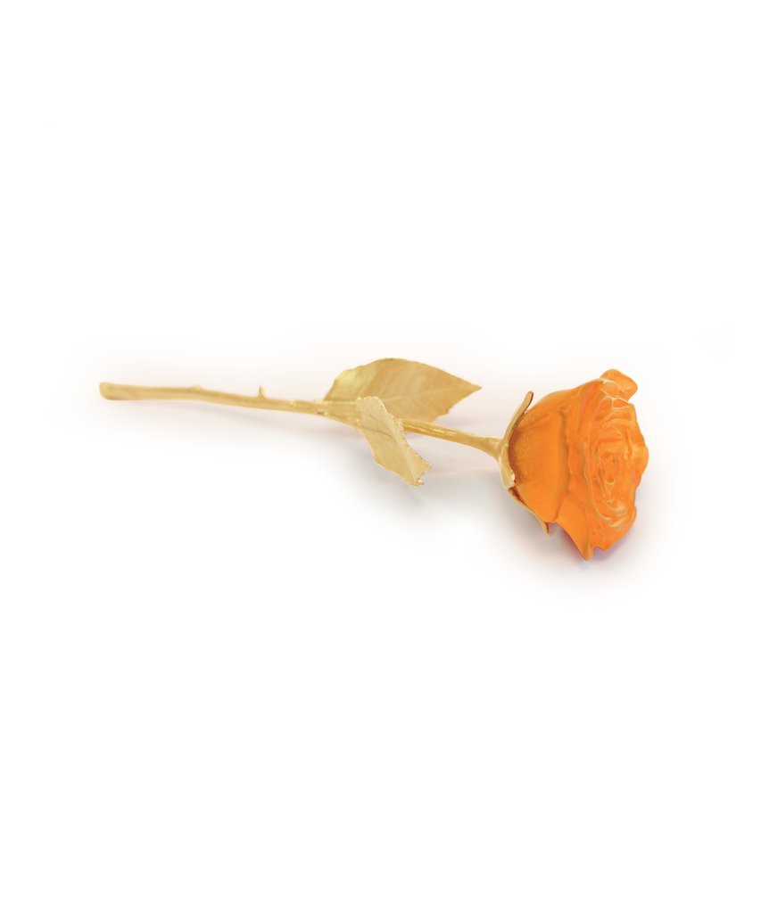 Orange Pink Rose Eternelle