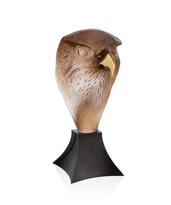 Falcon Head - M. van der Knoop