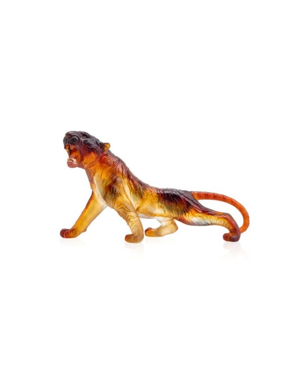Amber Bengal Tiger