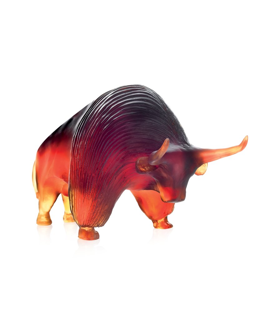 Zebu - X. Carnoy