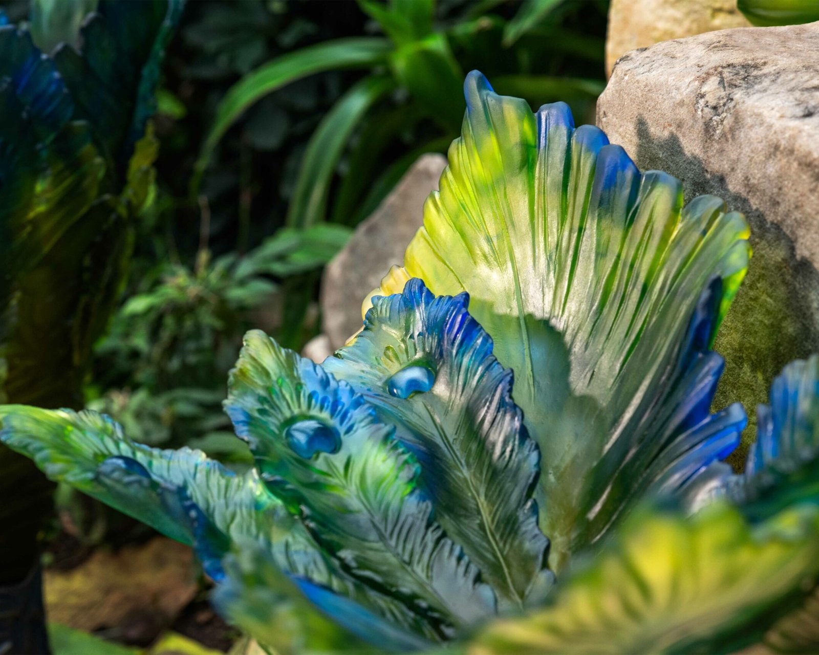 exotic-peacock-flower