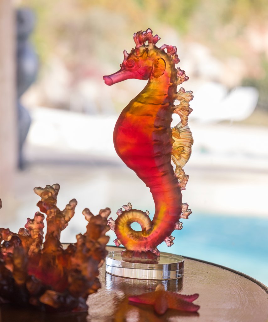 Amber Red Seahorse - Image 2