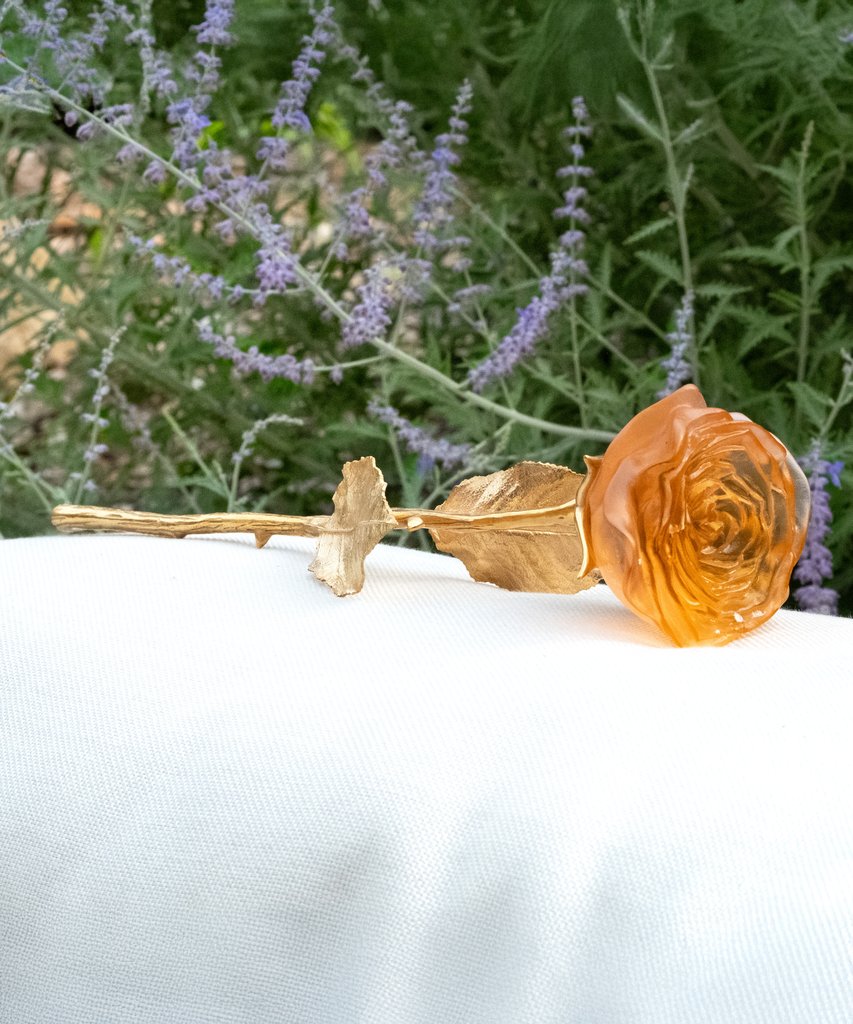 Orange Pink Rose Eternelle - Image 2