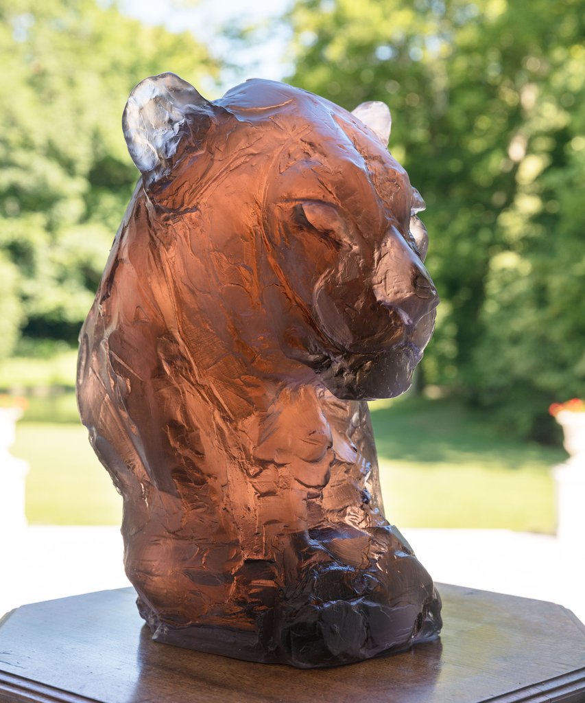Panther's Head - P. Villas - Image 2