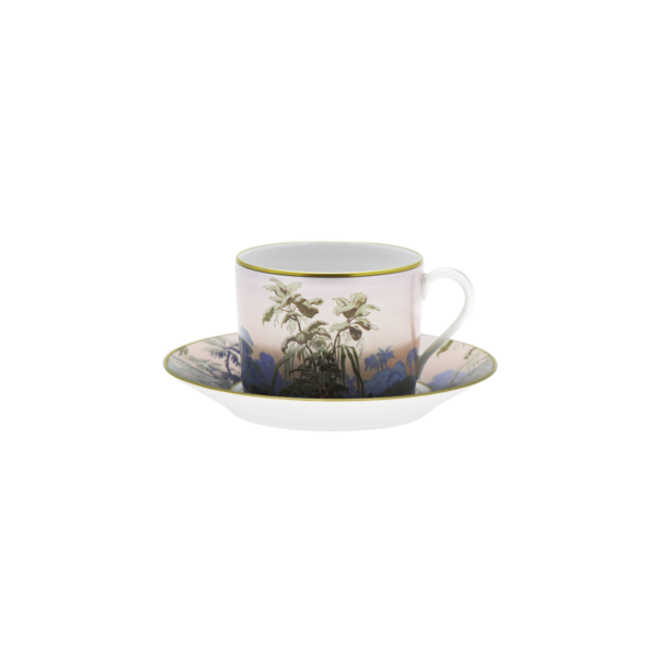Le Bresil — Teacup And Saucer
